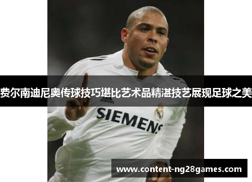 费尔南迪尼奥传球技巧堪比艺术品精湛技艺展现足球之美