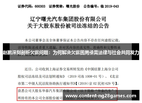 赵鹏深刻剖析欠薪问题：为何解决欠薪困局亟需法律与社会共同发力