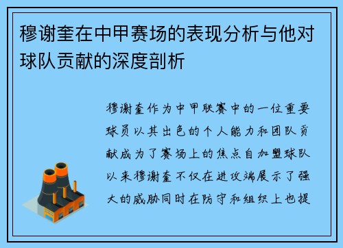 穆谢奎在中甲赛场的表现分析与他对球队贡献的深度剖析
