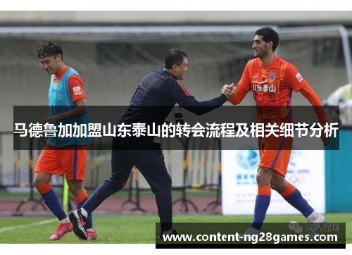 马德鲁加加盟山东泰山的转会流程及相关细节分析