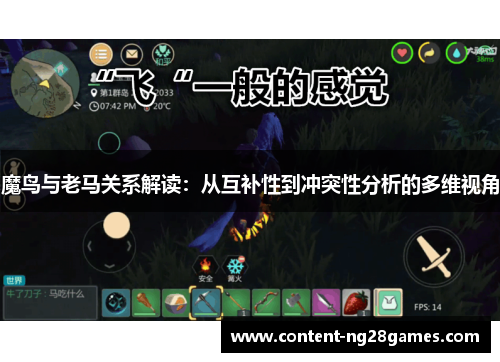 魔鸟与老马关系解读：从互补性到冲突性分析的多维视角