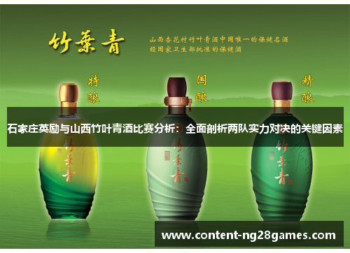 石家庄英励与山西竹叶青酒比赛分析：全面剖析两队实力对决的关键因素